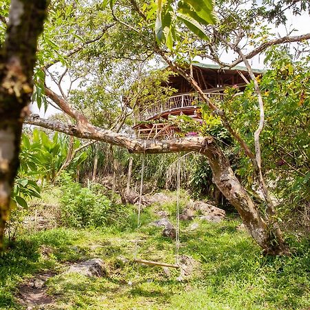 Ecofinca Fuente Alegre Cocorná Exteriér fotografie