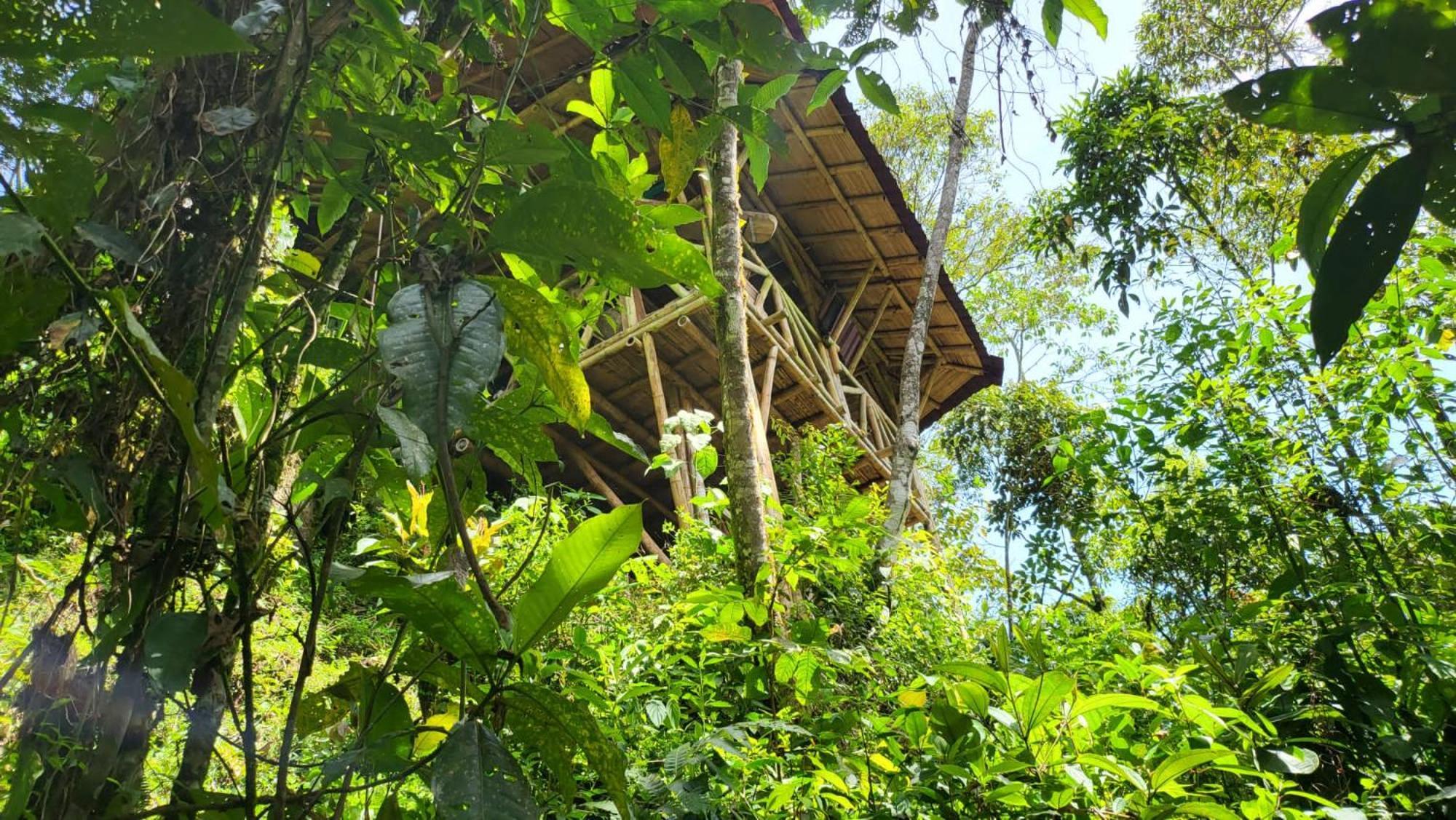 Ecofinca Fuente Alegre Cocorná Exteriér fotografie