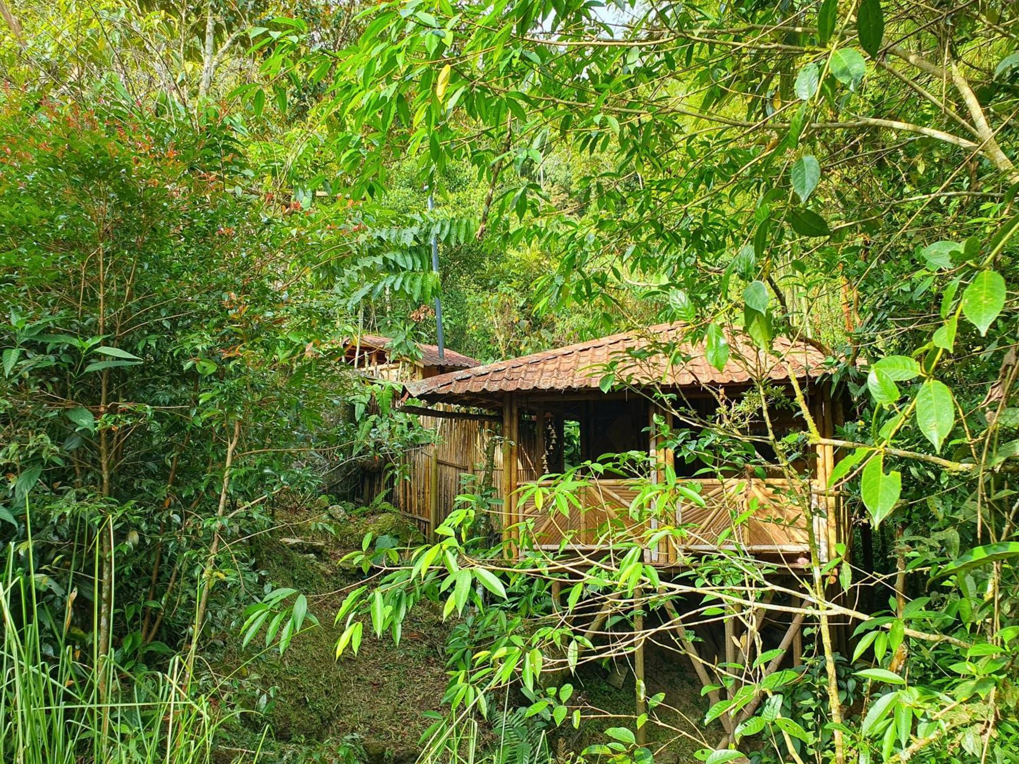 Ecofinca Fuente Alegre Cocorná Pokoj fotografie